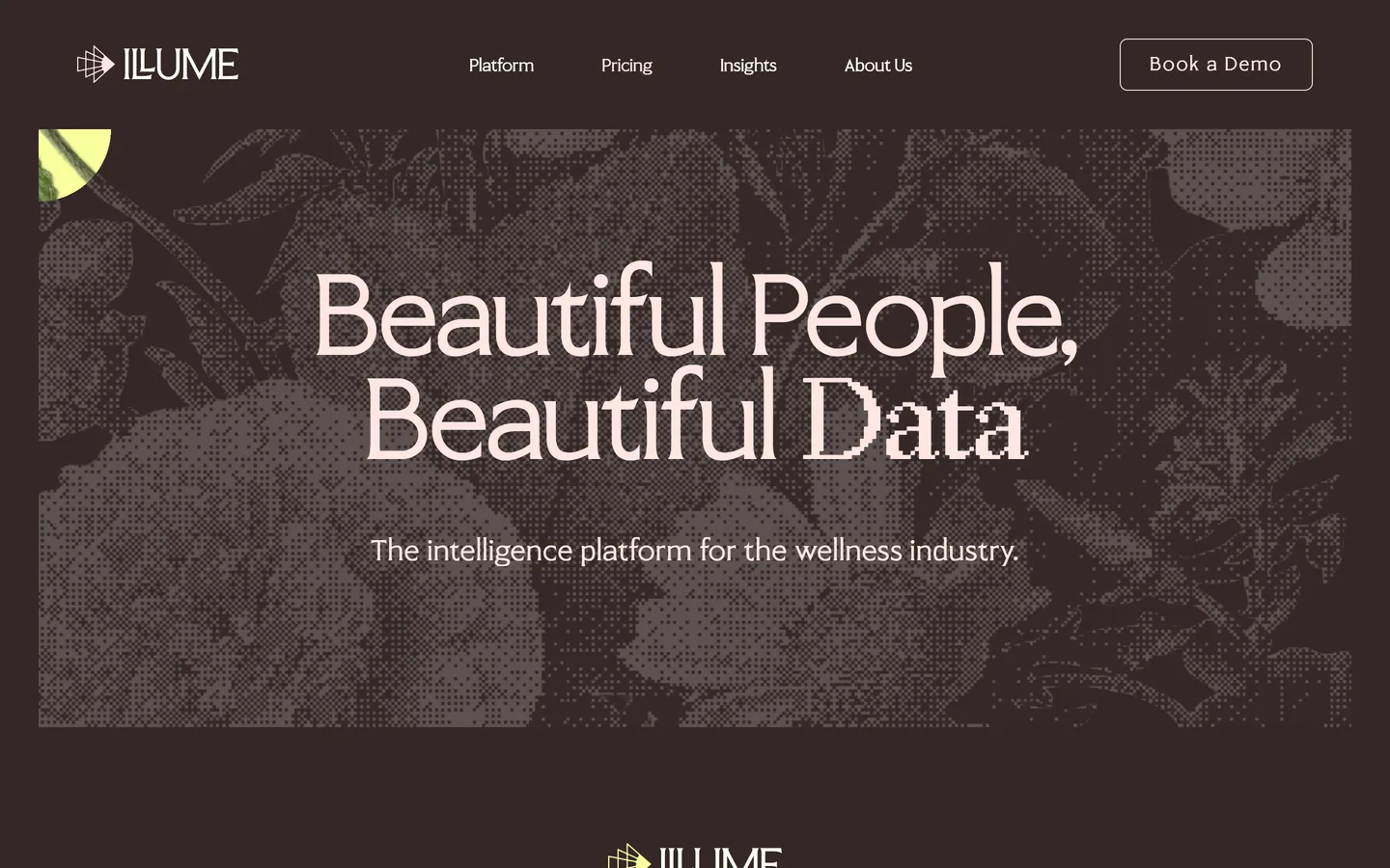 Home: the wellness-industry positioning